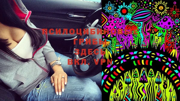 спиды Баксан