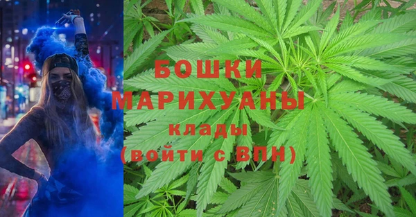 ГАЛЛЮЦИНОГЕННЫЕ ГРИБЫ Балабаново
