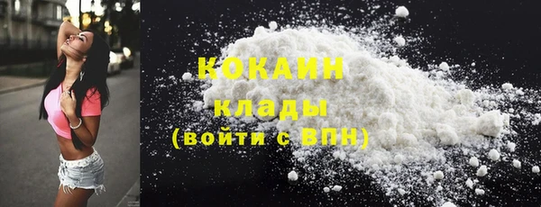 ГАЛЛЮЦИНОГЕННЫЕ ГРИБЫ Аркадак