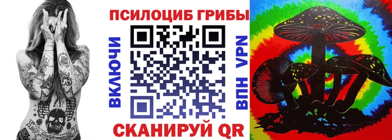 где купить   Киреевск  блэк спрут зеркало  Псилоцибиновые грибы Psilocybine cubensis 